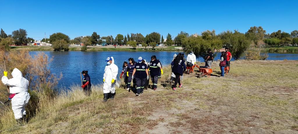 #TRELEW | Trabajos de desmalezamiento y&nbsp;limpieza