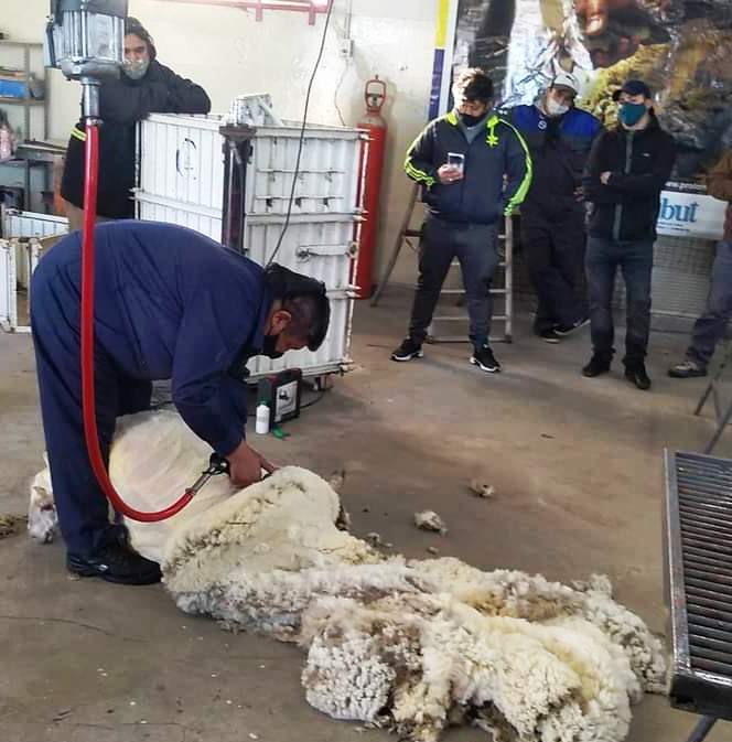 #CHUBUT | Convocan a curso de formación de Acondicionadores de&nbsp;Lanas