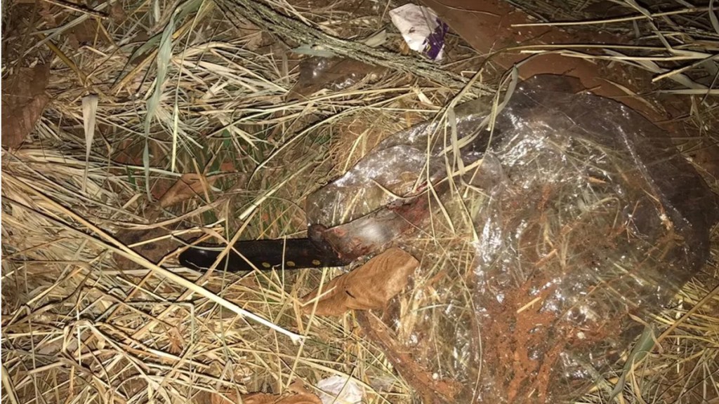 #HORROR | MATÓ A SU PAREJA A PUÑALADAS PORQUE LO OBLIGABA A TENER SEXO 