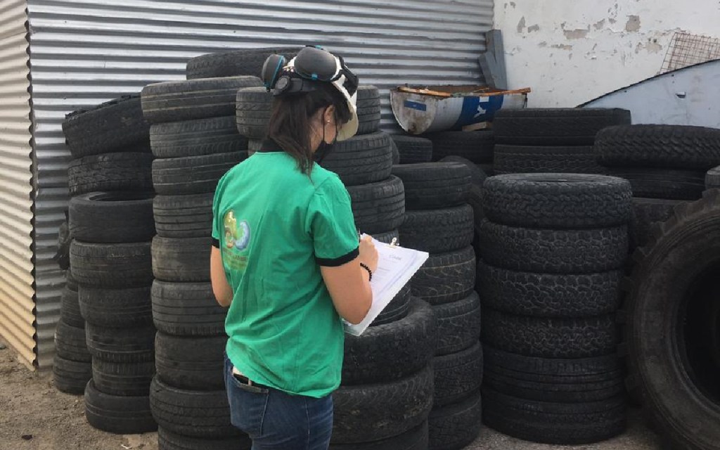 #CHUBUT | Control de la gestión y disposición final de neumáticos fuera de&nbsp;uso
