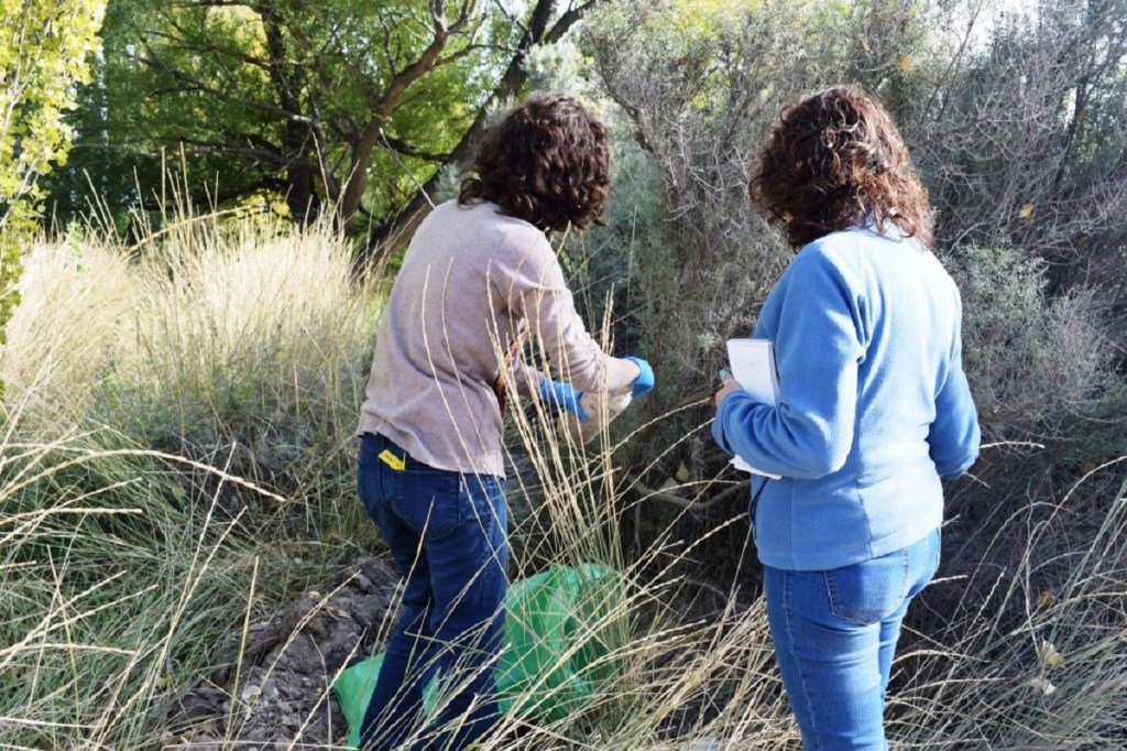 #CHUBUT | Intervienen por mala disposición de envases vacíos de&nbsp;agroquímicos