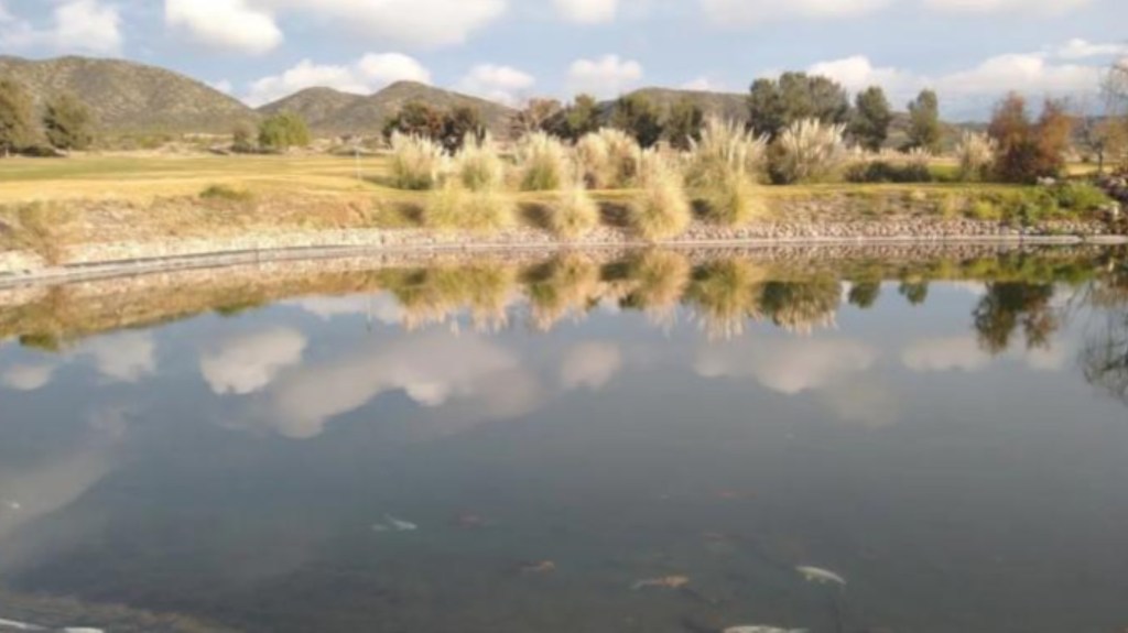 CAYÓ A UNA LAGUNA DE UN CEMENTERIO, NO SABÍA NADAR Y MURIÓ&nbsp;AHOGADO
