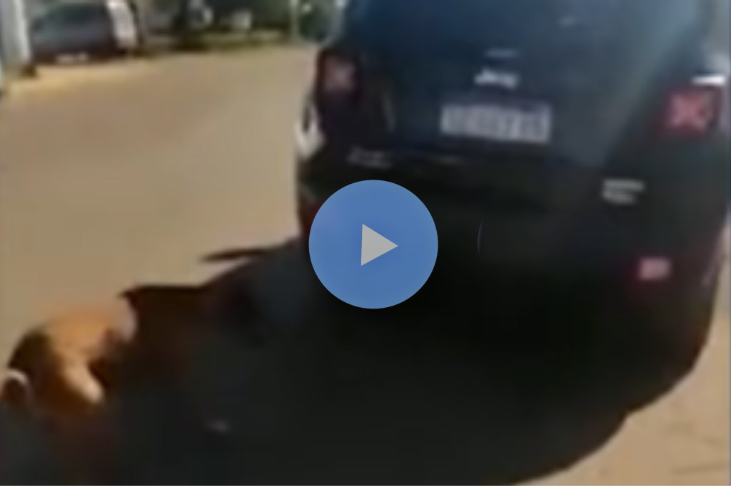 Video: arrastró a su perro atado a la camioneta y los vecinos impidieron que lo&nbsp;matara