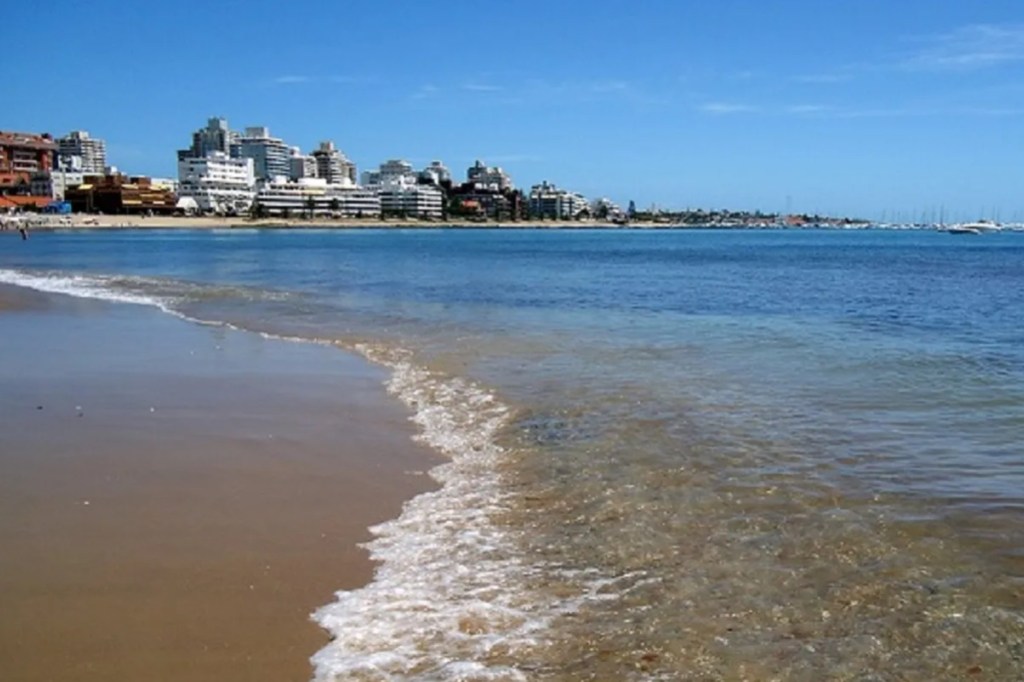 Juntaba caracoles en una playa y encontró una mano&nbsp;humana
