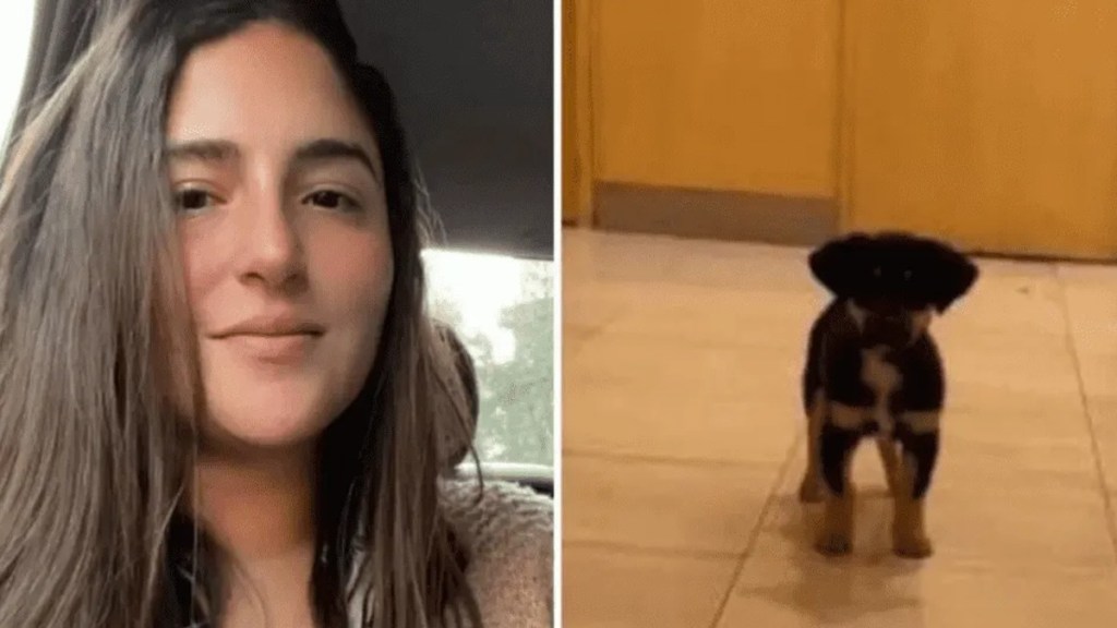 Viral: Una chica de Recoleta se llevó el perrito de un indigente, lo contó en Twitter y el repudio fue&nbsp;masivo