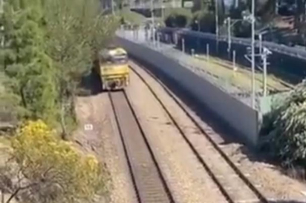 TRAGEDIA: JOVEN MUERE ARROLLADO POR UN TREN AL INTENTAR RESCATAR A SU PERRO ATRAPADO EN LAS&nbsp;VÍAS