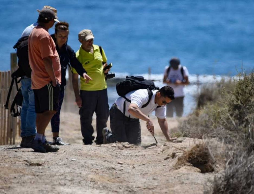 CONFIRMAN LA DESTRUCCIÓN DE NIDOS Y MATANZA DE PINGÜINOS EN PUNTA&nbsp;CLARA