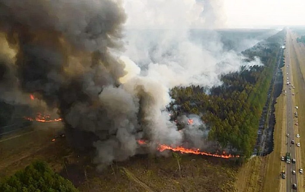Un peón rural es el primer condenado por los incendios en&nbsp;Corrientes