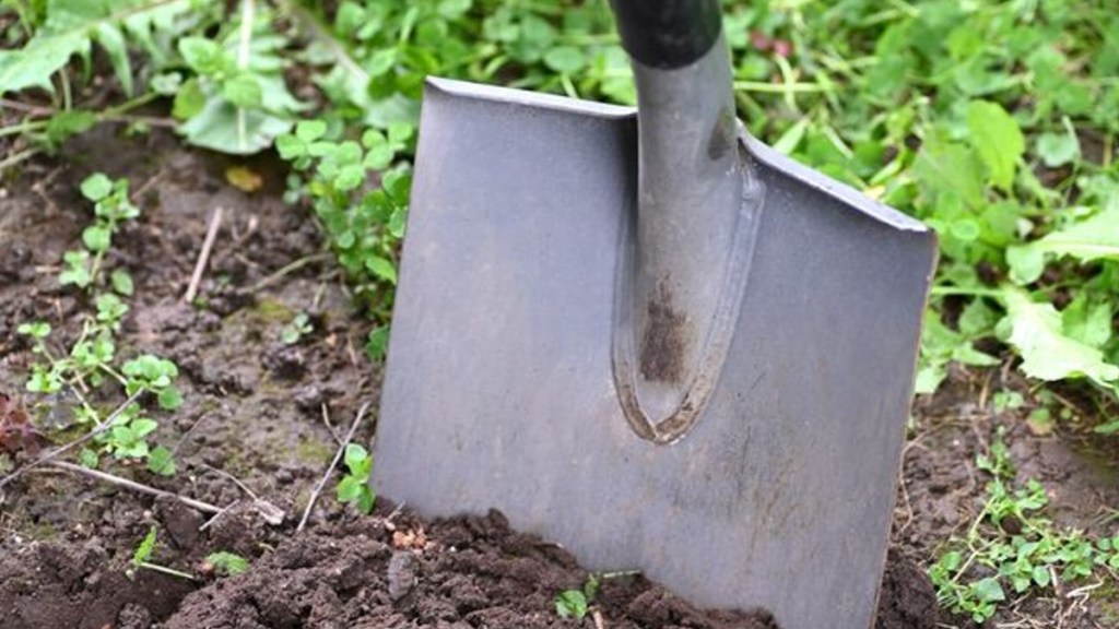 ESTRANGULÓ Y ASESINÓ A SU NOVIA Y CUANDO LA ESTABA ENTERRANDO LE DIO UN INFARTO Y SE&nbsp;MURIÓ