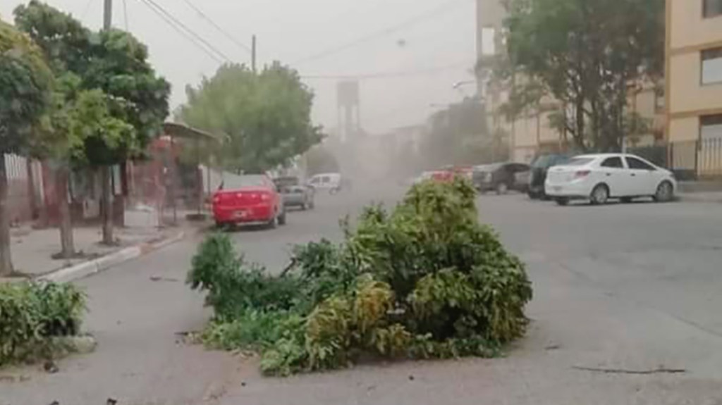 Trelew: alerta amarillo por fuertes&nbsp;vientos