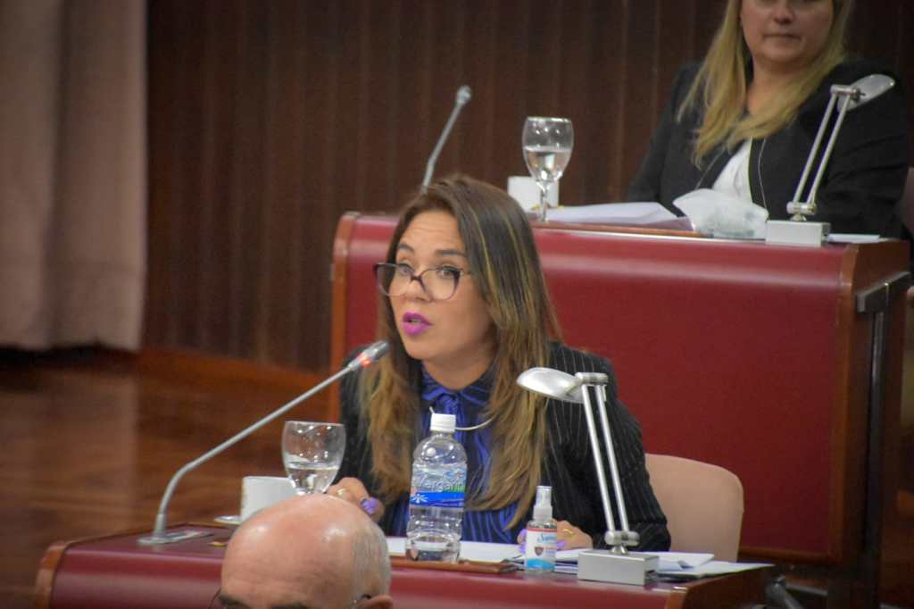 Diputadas presentarán pedido para interpelar a la Ministra&nbsp;Perata