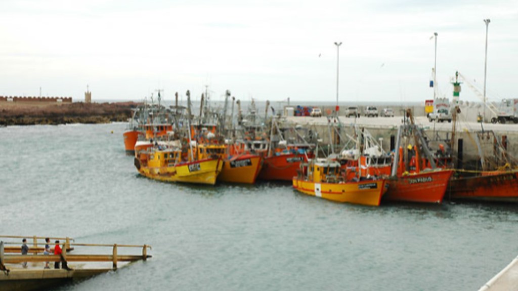 Tragedia: murió un trabajador en el Puerto de&nbsp;Camarones