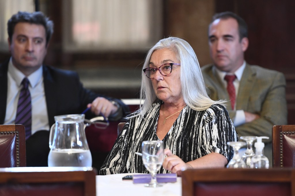 LA SENADORA TERENZI BUSCA RESTABLECER LA&nbsp;CONADEPA