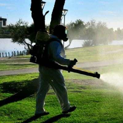 Comenzó con la temporada de poda y&nbsp;fumigación