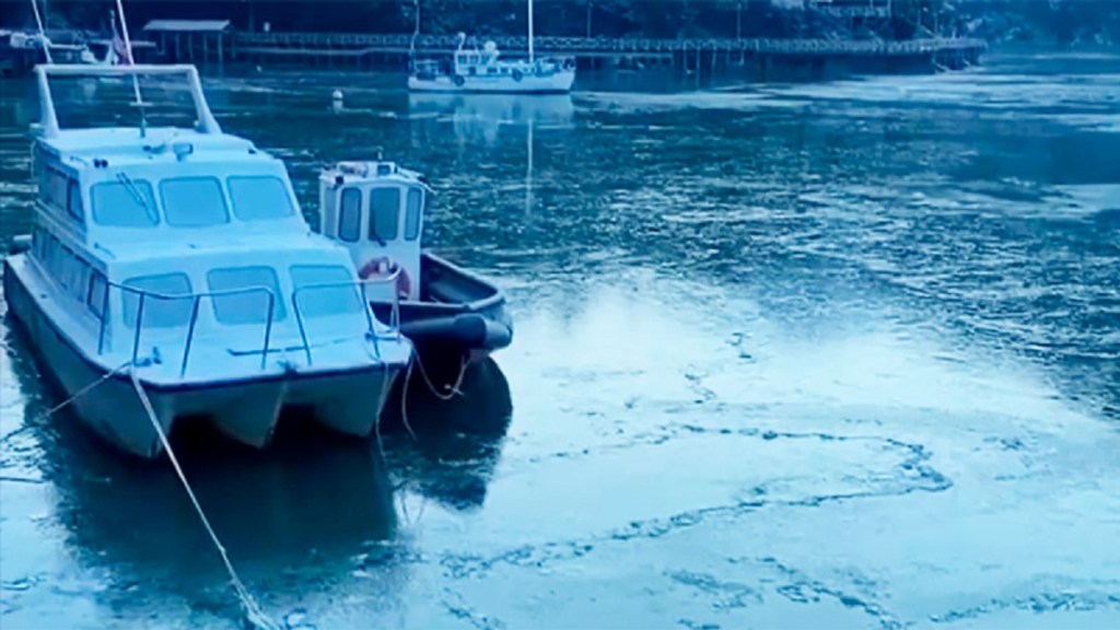Las bajas temperaturas congelaron el mar al sur de&nbsp;Chile