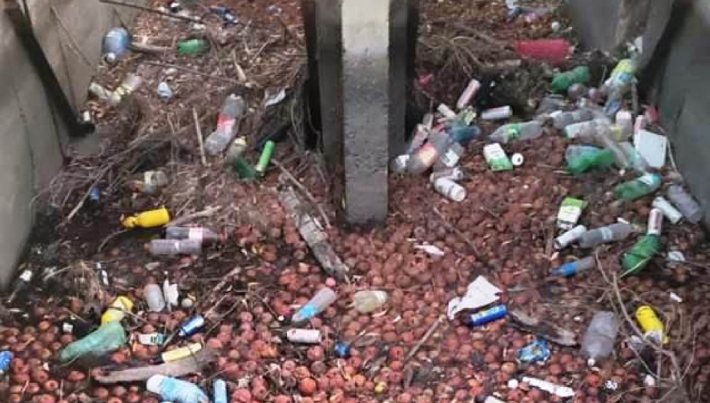 Residuos en canales de riego y el Río Chubut en la zona del Puente&nbsp;Hendre