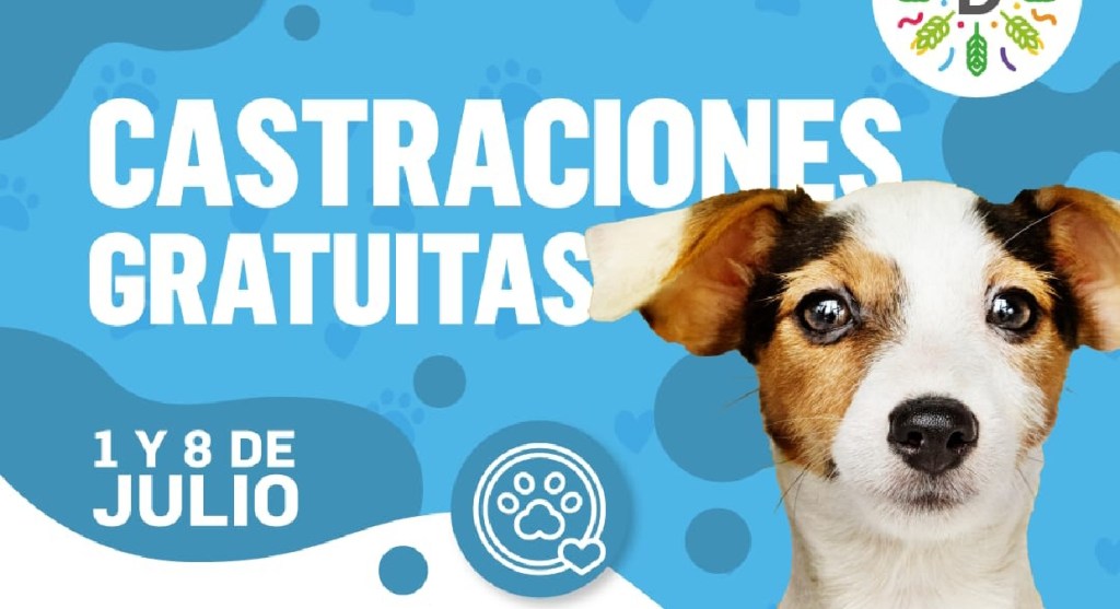 Dolavon: nuevas jornadas de castración gratuita de mascotas 