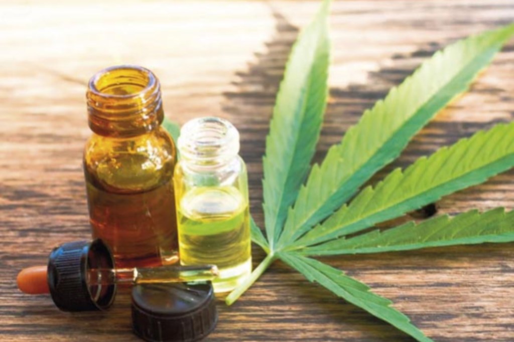 Puerto Madryn: seleccionarán 200 pacientes para ensayos clínicos con aceite de&nbsp;cannabis