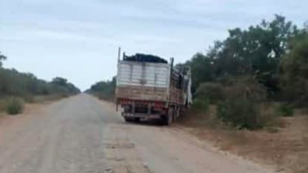Murió un camionero aplastado mientras reparaba su&nbsp;camión
