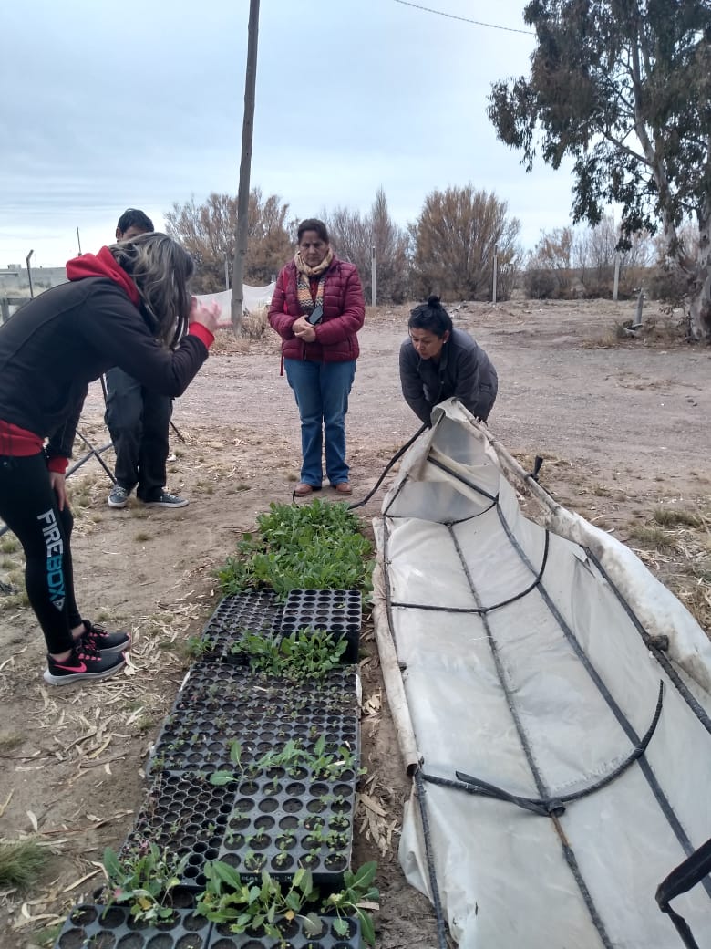 Capacitación en armado de Huertas Familiares y&nbsp;Microtúneles
