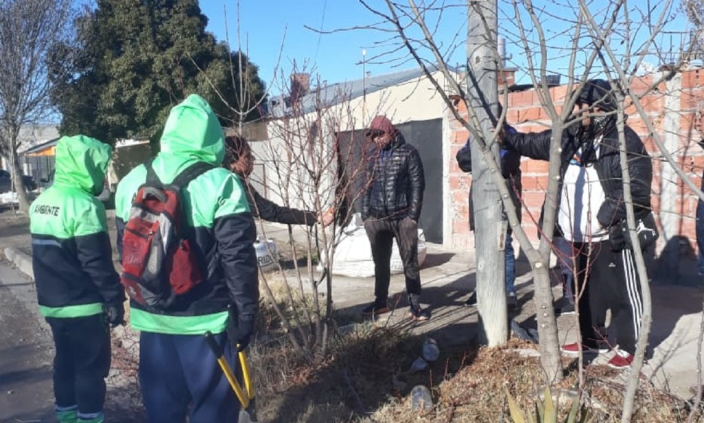 Se llevó a cabo la segunda capacitación en poda de arbolado&nbsp;urbano