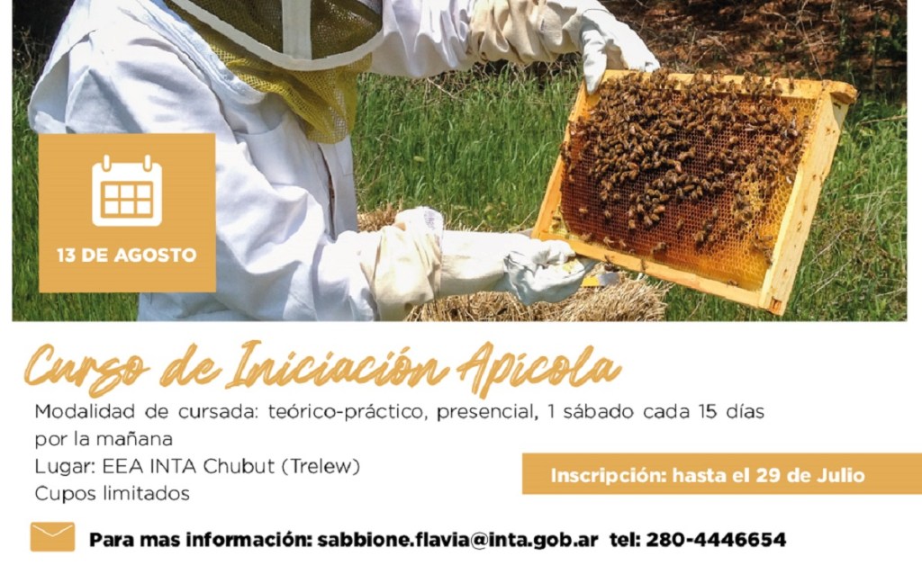 #DATO | Inscripciones al curso de Iniciación&nbsp;Apícola