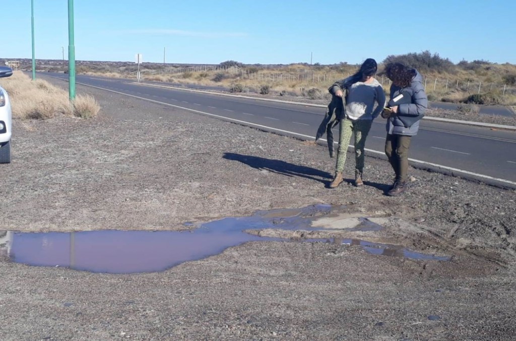 Contingencia por escurrimiento de efluentes&nbsp;pesqueros
