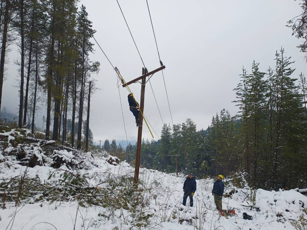 Postes y líneas eléctricas afectadas por el temporal de nieve en la Comarca&nbsp;Andina
