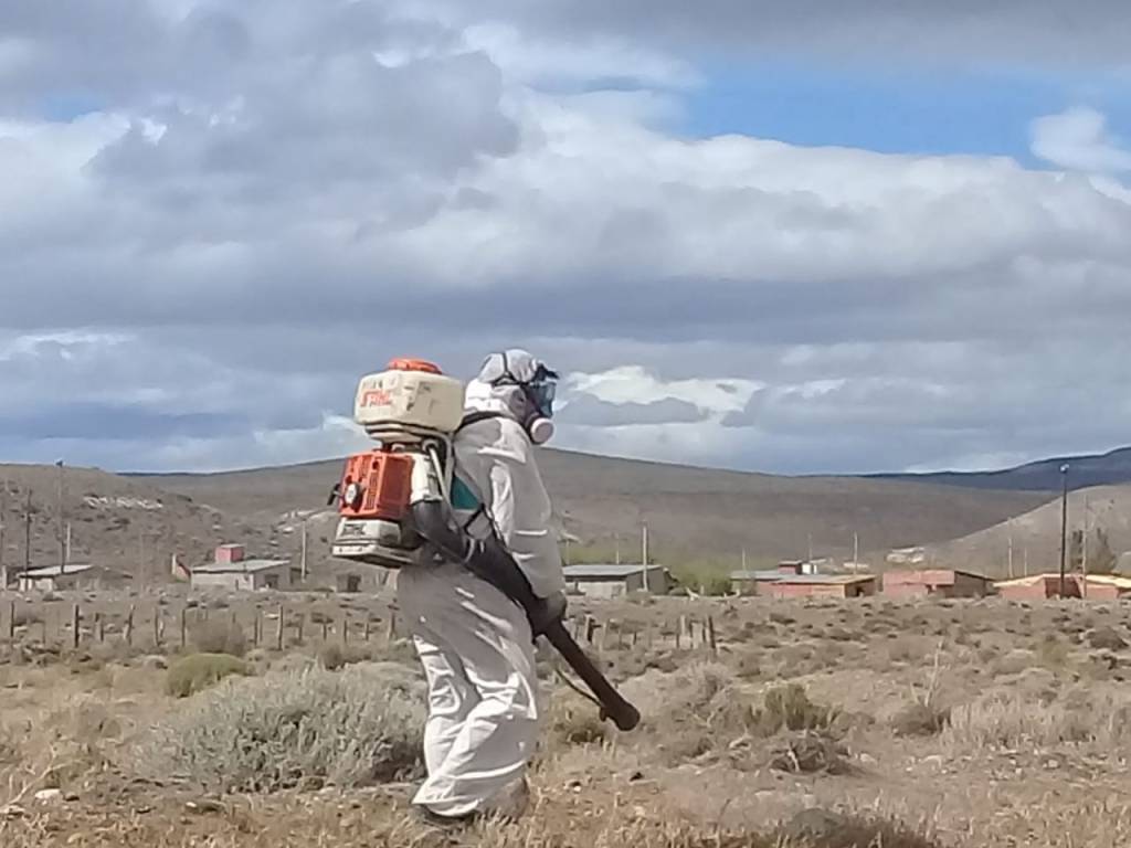 Chubut se suma al Comité Patagónico con el objetivo de prevenir la plaga de&nbsp;tucuras