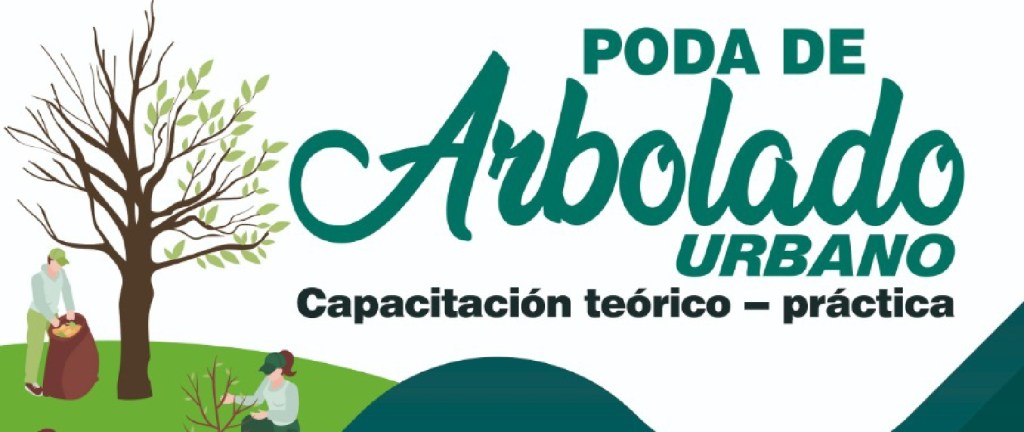 Rawson realizará capacitaciones de poda de arbolado&nbsp;urbano