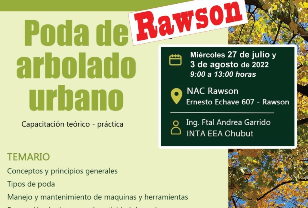 Segunda capacitación en Poda de Arbolado&nbsp;Urbano