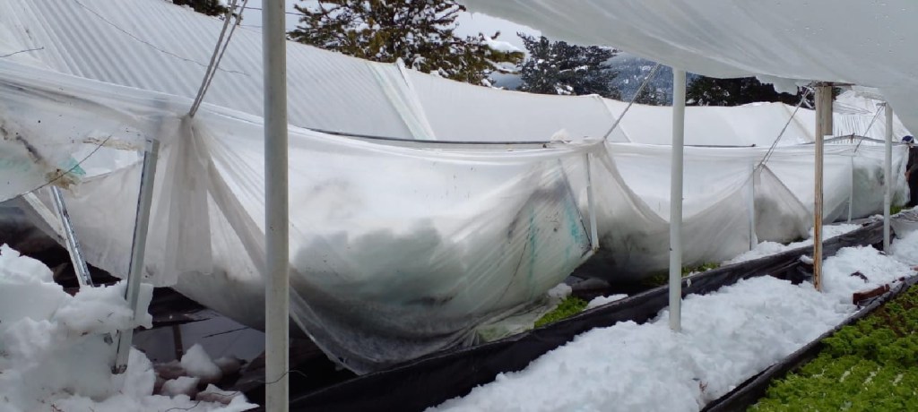 Emprendimientos de Epuyén afectados por el temporal de&nbsp;nieve