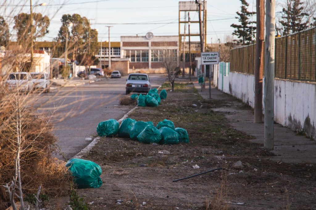 limpieza en los predios de los Jardines Municipales 