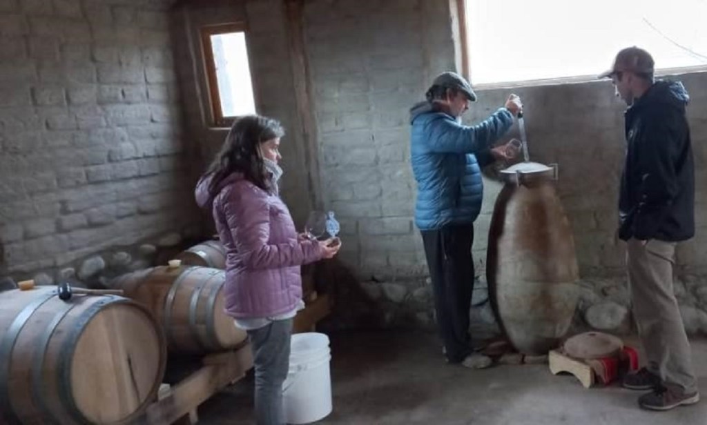 Producción de Vinos Artesanales y Orgánicos de&nbsp;Gualjaina