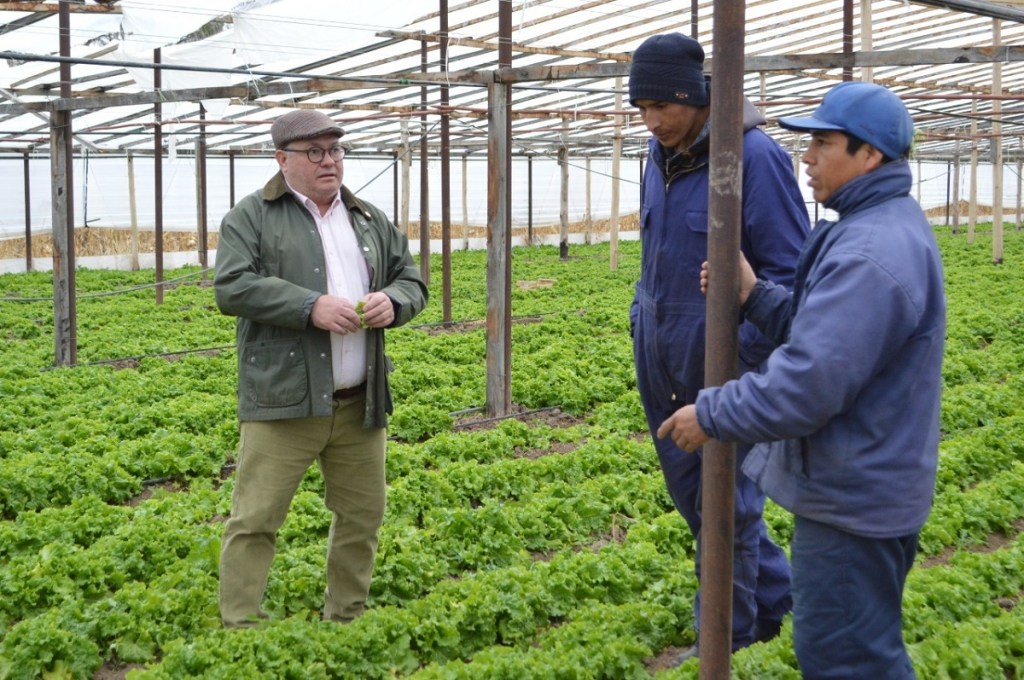 Emprendimientos con cultivos bajo cubierta del&nbsp;VIRCh