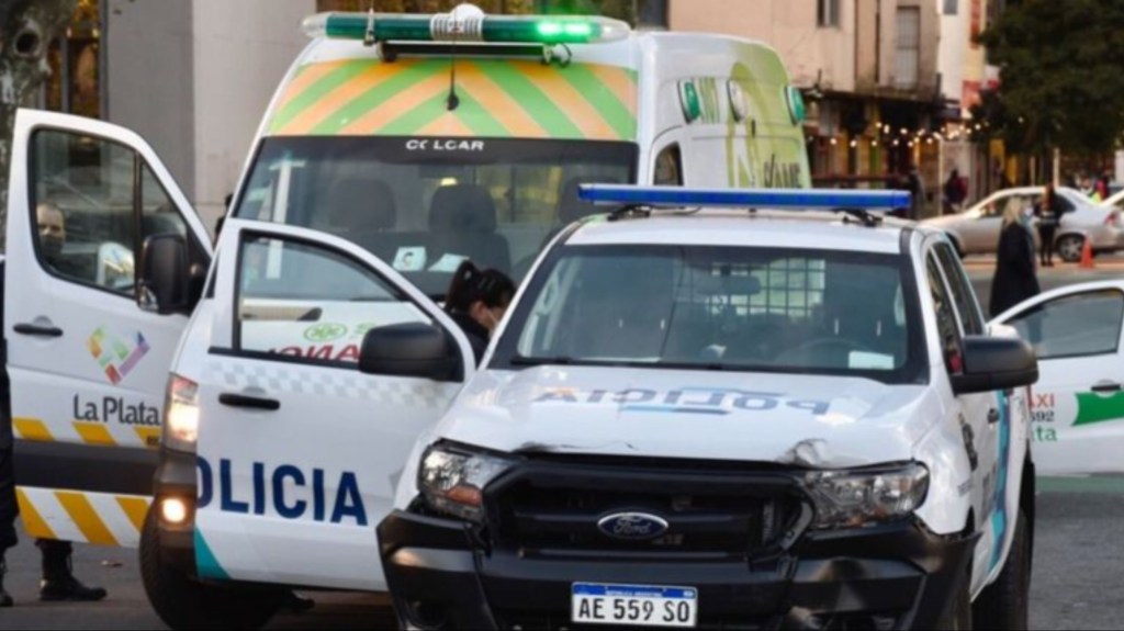 Brutal: atacó a trompadas a su hija y le hizo perder un embarazo de&nbsp;mellizos