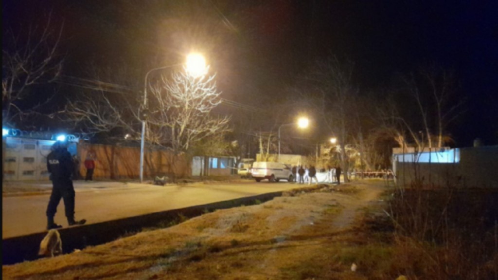 Horror: discutió con su mujer y la mató atropellándola con su&nbsp;camión
