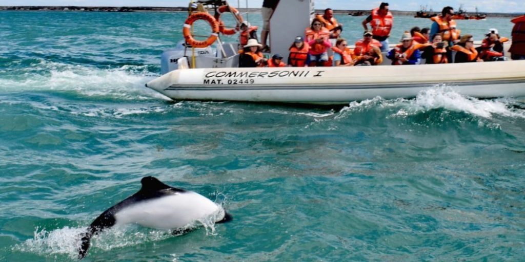 Referentes de la UNESCO y América Latina disfrutaron del avistaje de toninas en Playa&nbsp;Unión