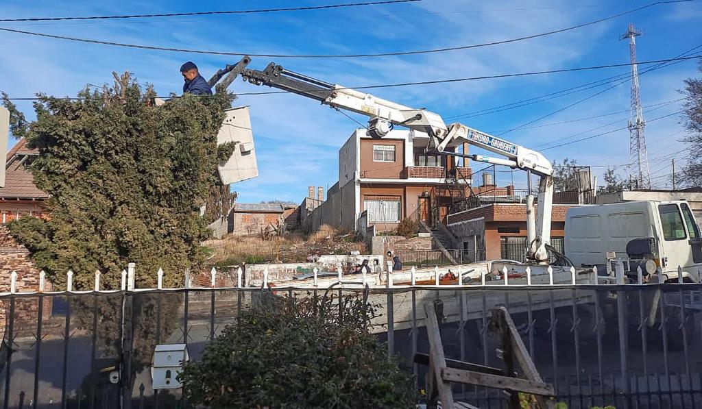Continúa el cronograma de poda y de limpieza en&nbsp;Trelew