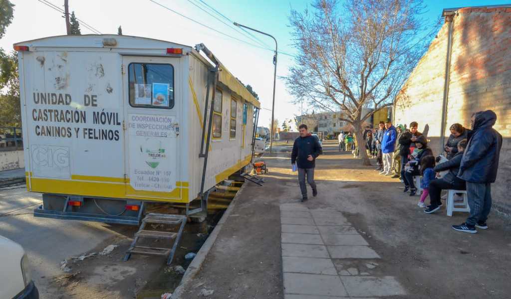 Campaña de castración en los barrios Constitución y Los&nbsp;Aromos