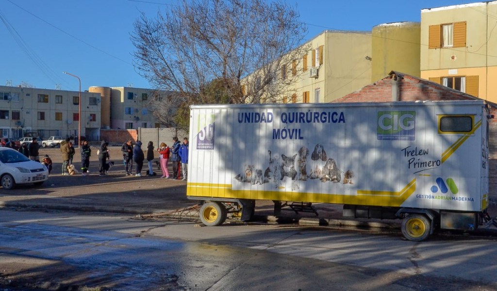 Exitosa la campaña de castración gratuita en los barrios Constitución y Los&nbsp;Aromos