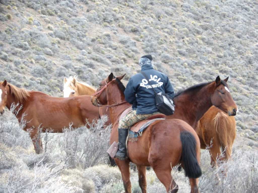 Continúa la búsqueda de José Crettón en la Comarca&nbsp;Andina