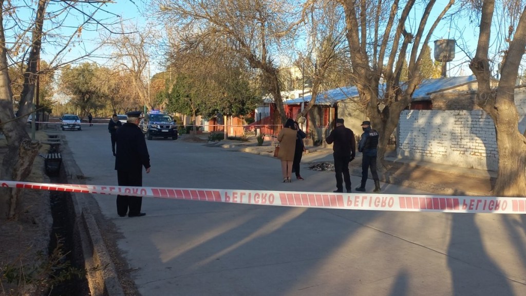 Horror: atacó a la familia de su ex y mató a su&nbsp;excuñada