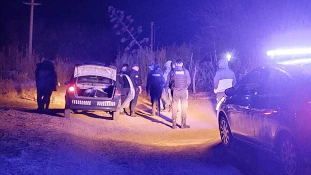 Una mujer murió al ser atacada por una jauría de&nbsp;perros
