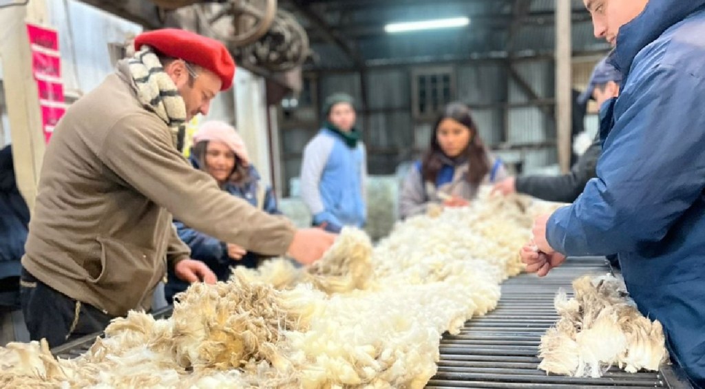 Supervisan la zafra de esquila en&nbsp;Chubut