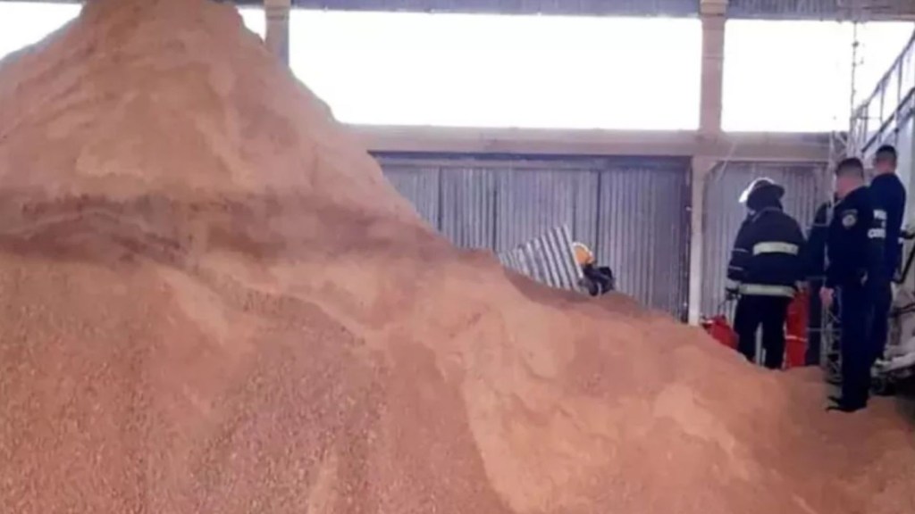 Un operario arreglaba una máquina y murió aplastado por una montaña de&nbsp;soja