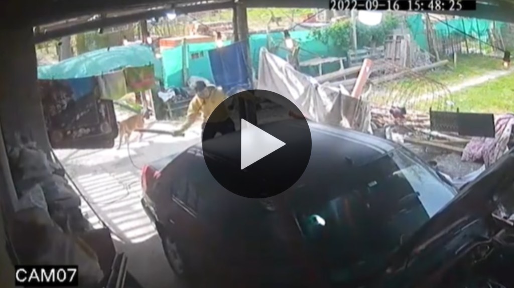 Video: así padre e hijo asesinaron  brutalmente a un familiar y lo ataron a un&nbsp;poste