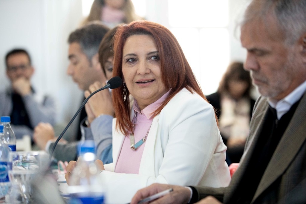 Chubut en la Sesión del Consejo Federal de Niñez, Adolescencia y&nbsp;Familia