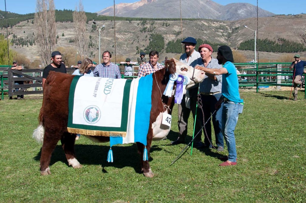 Créditos en la 45° Exposición de la Sociedad Rural de&nbsp;Esquel