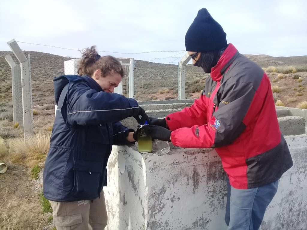 Inspecciones a pesqueras y monitoreo de efluentes cloacales en la Meseta Central de&nbsp;Chubut